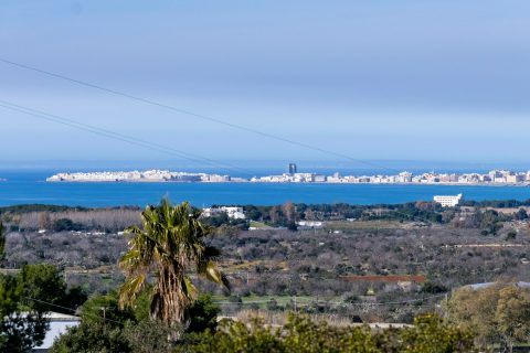 Gallipoli